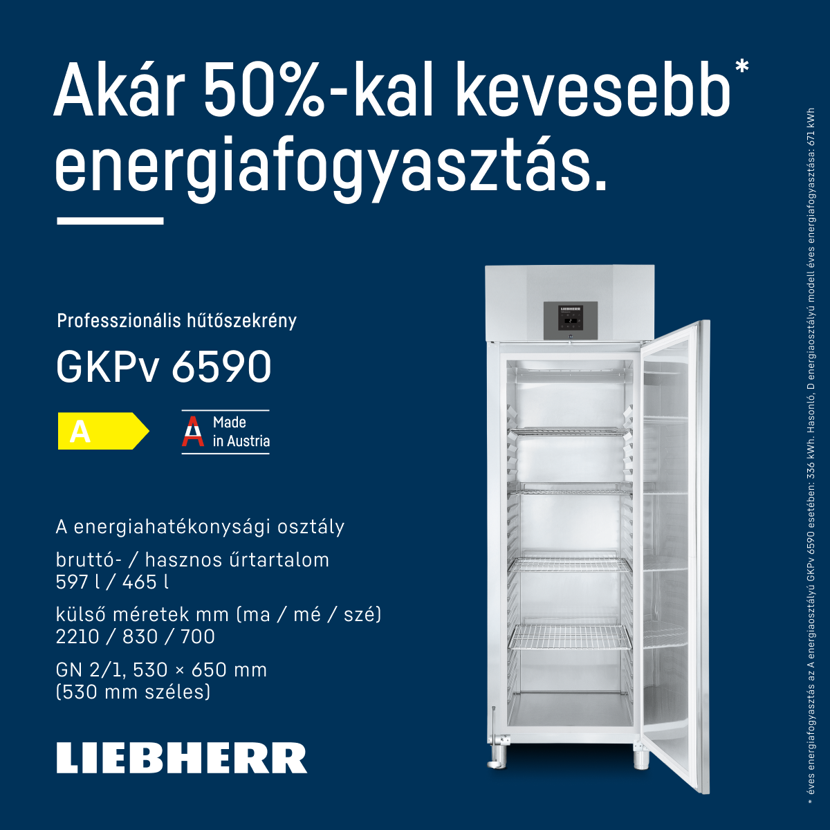 Az energiahatékonyság legfontosabb  érv professzionális Liebherr készülékek esetében.